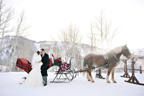 Horse and winter wedding